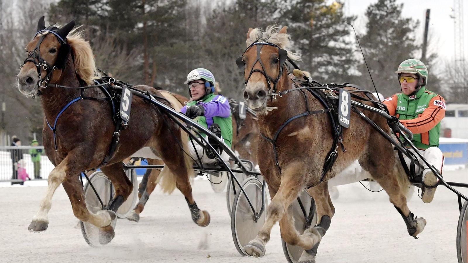 Polara ohjastajana Antti Tupamäki ja toiseksi sijoittunut Costello ohjastajana Risto Tupamäki
