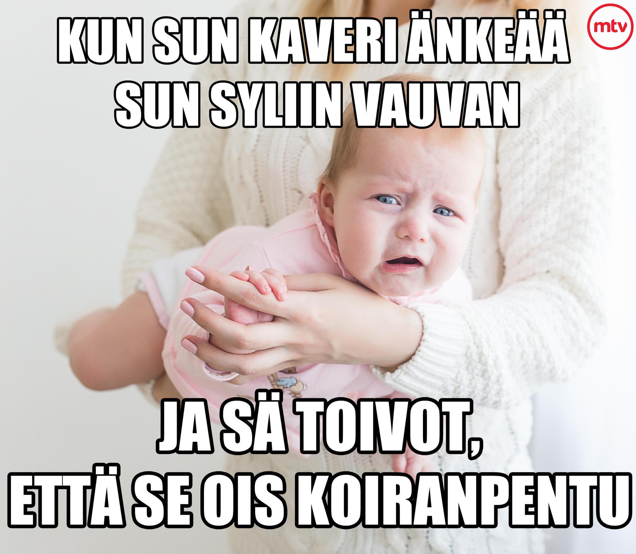 MEEMI - koirat vs vauvat2