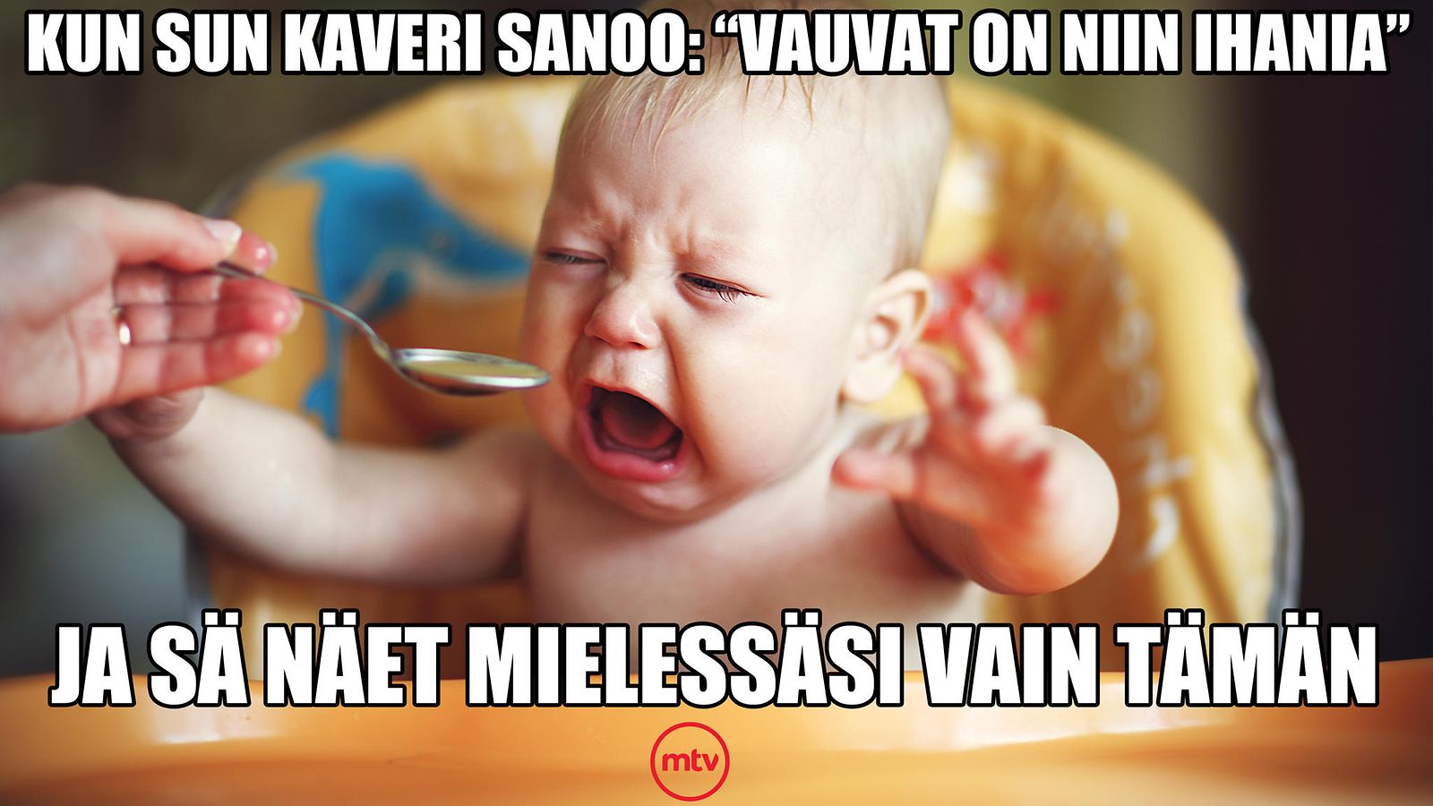 MEEMI - koirat vs vauvat5