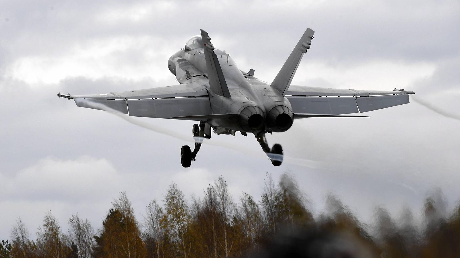 Hornet