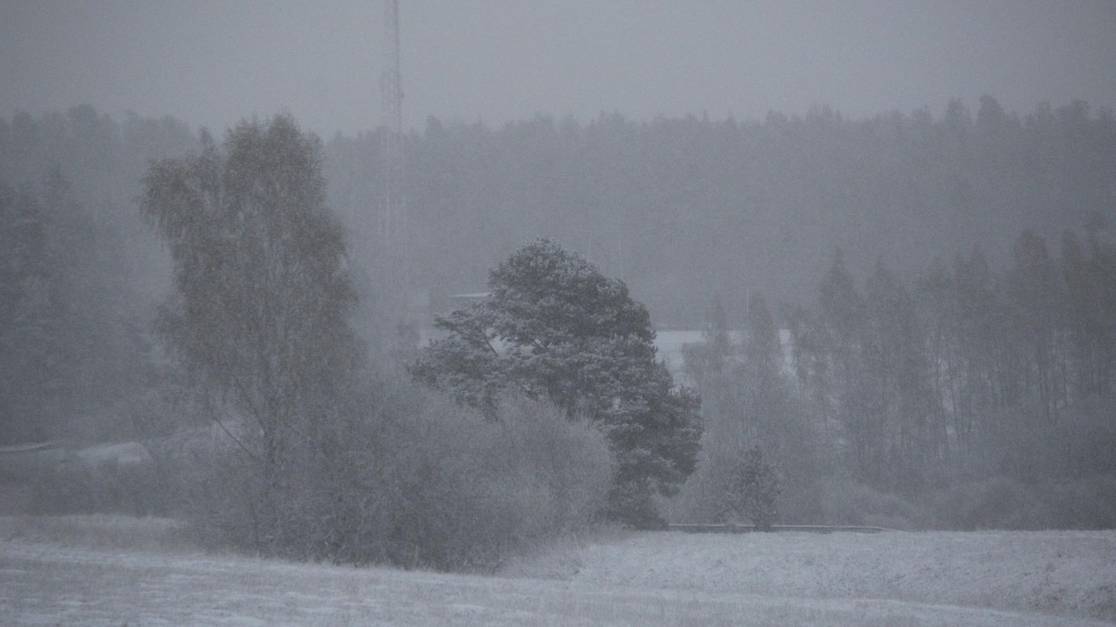 Kevät lumisade sää