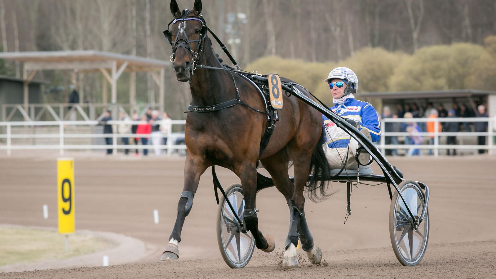 Elian Web ja Jorma Kontio