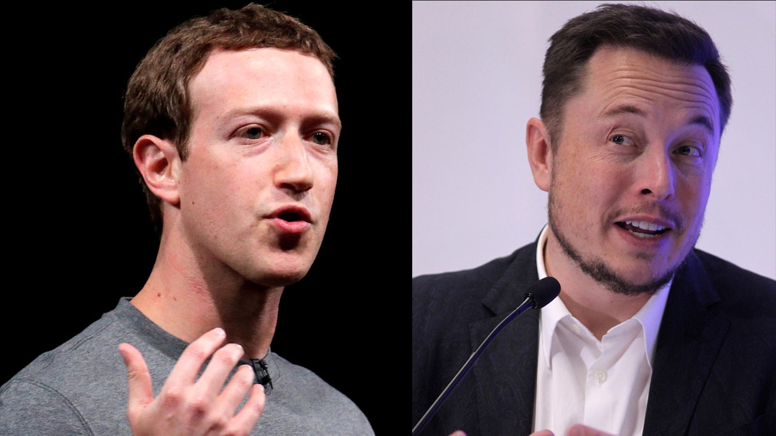 zuck vs musk