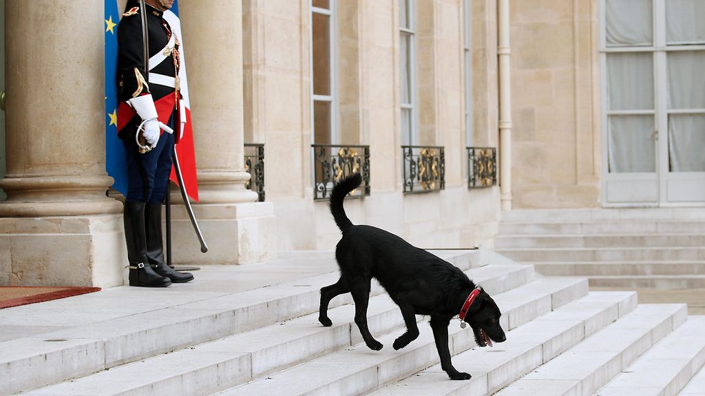 Poliisi ratsasi presidentinpalatsin Ranskassa