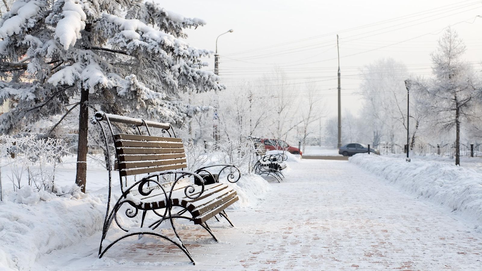 penkki, puisto, lumi