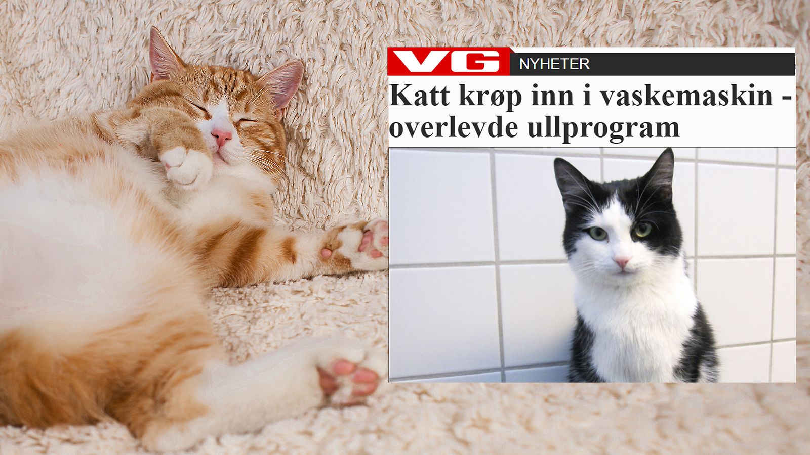 Kuvituskuvatoisenkuvanlähde Vg.no