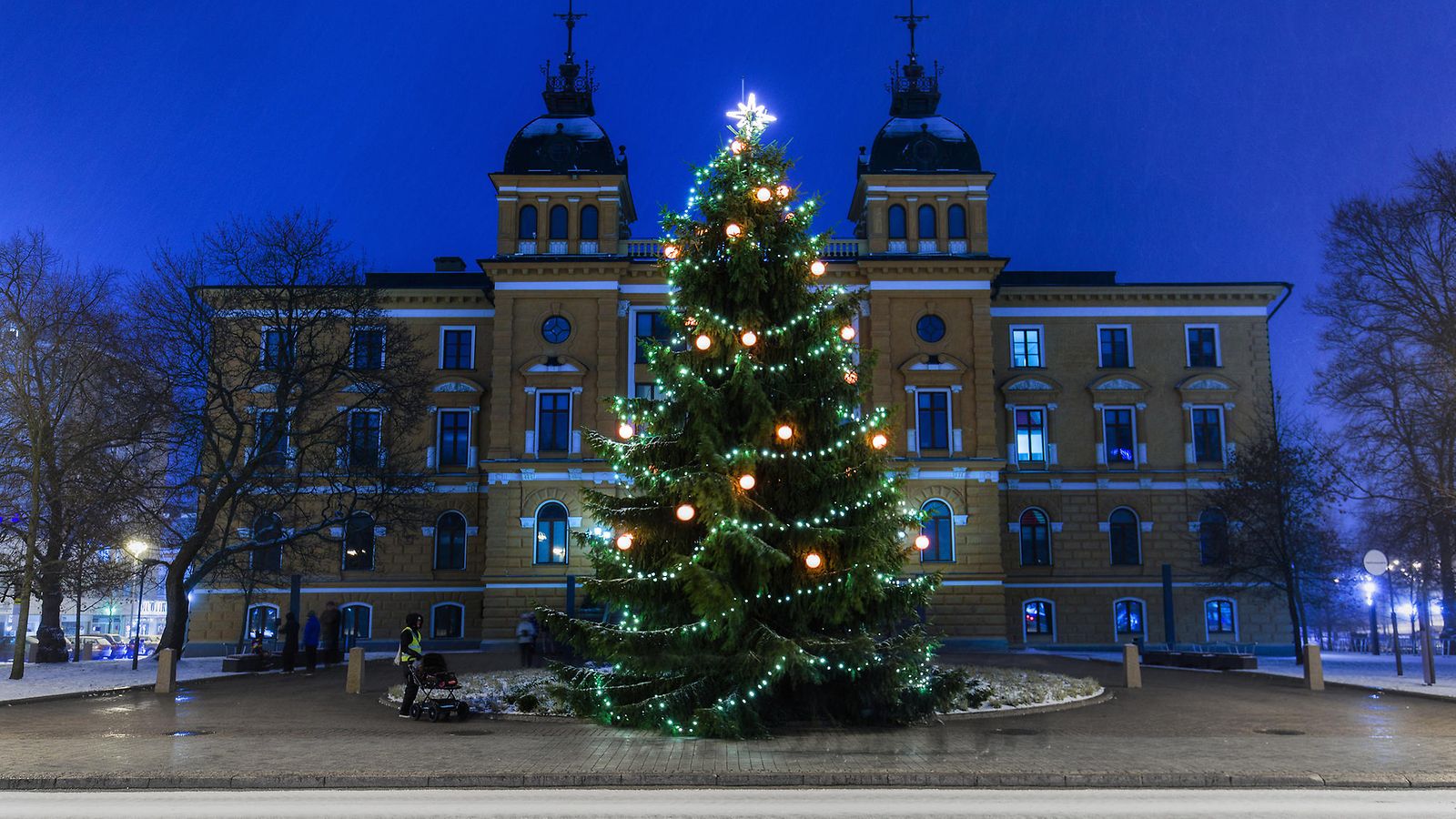 Oulun kaupungin joulukuusi