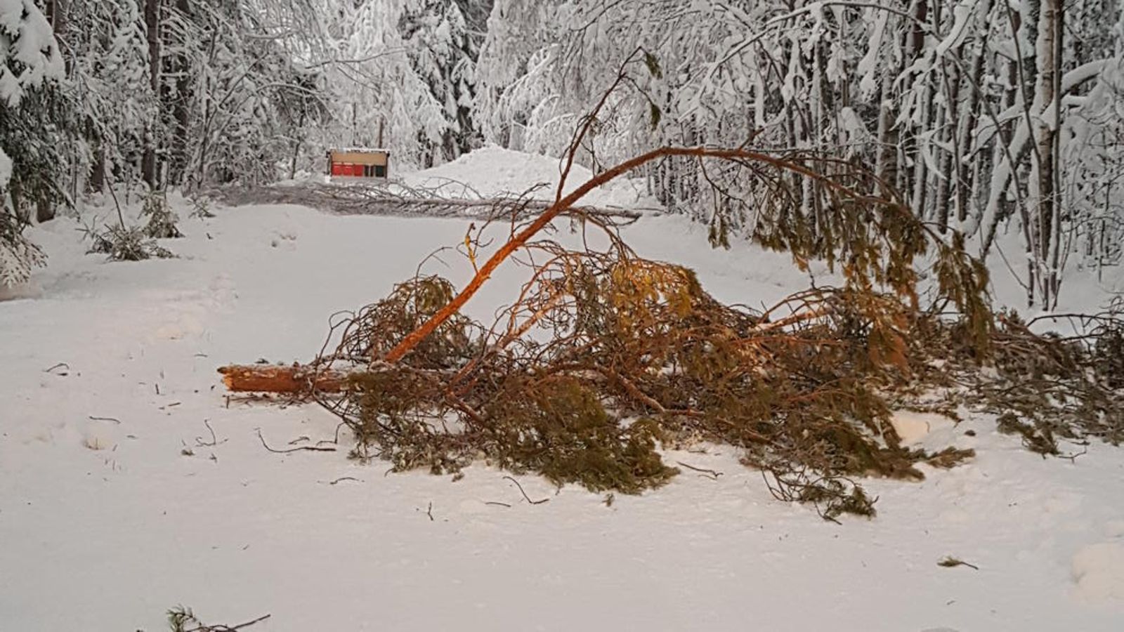 Essi Karjalainen Kainuu
