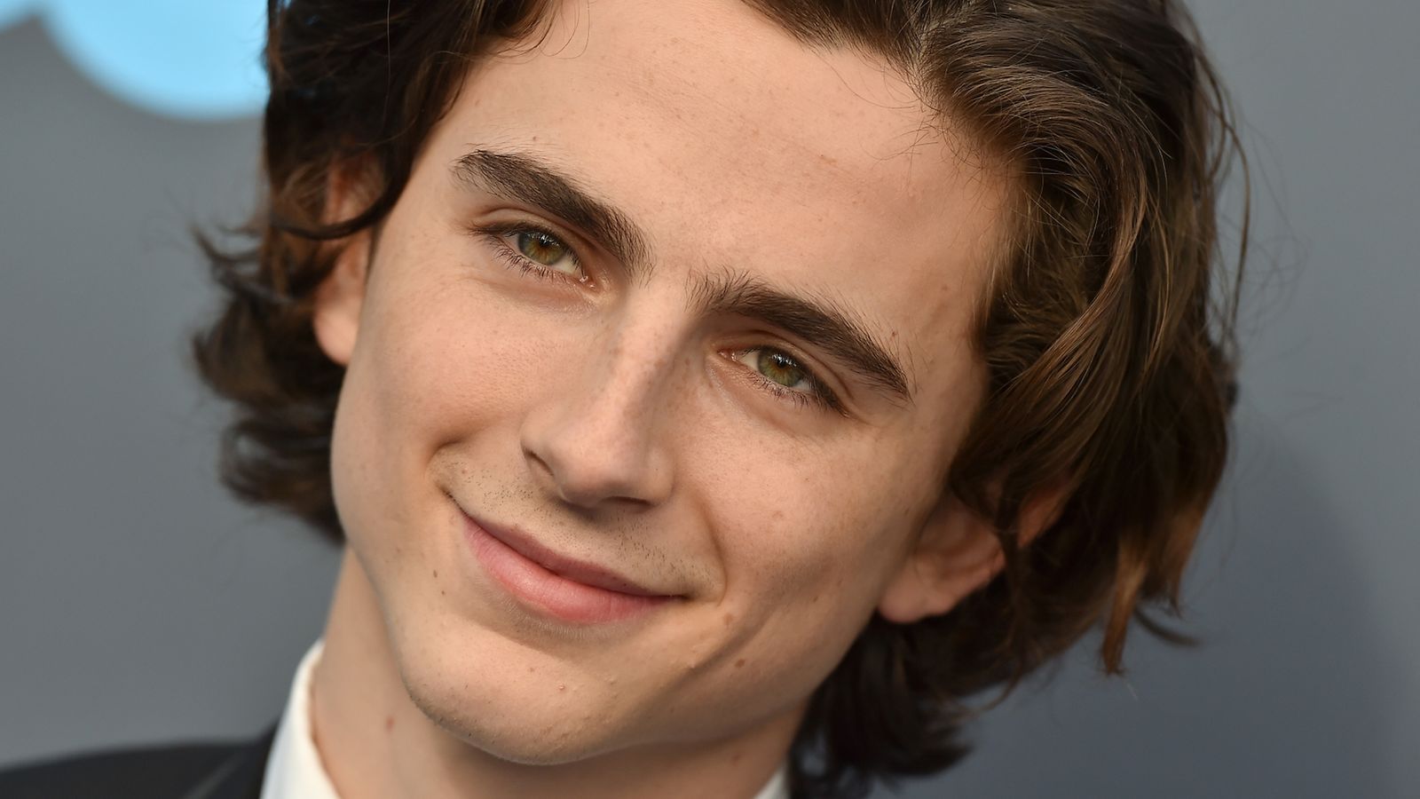 Timothée Chalamet