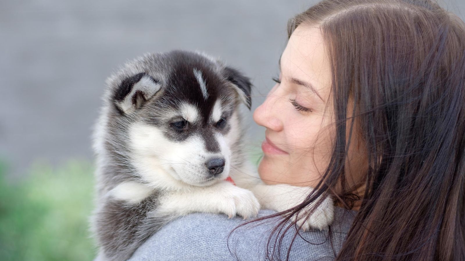 nainen, husky, koira