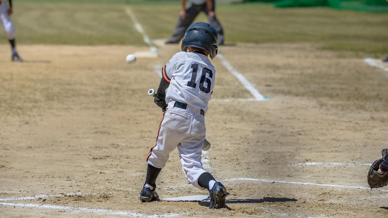 baseball