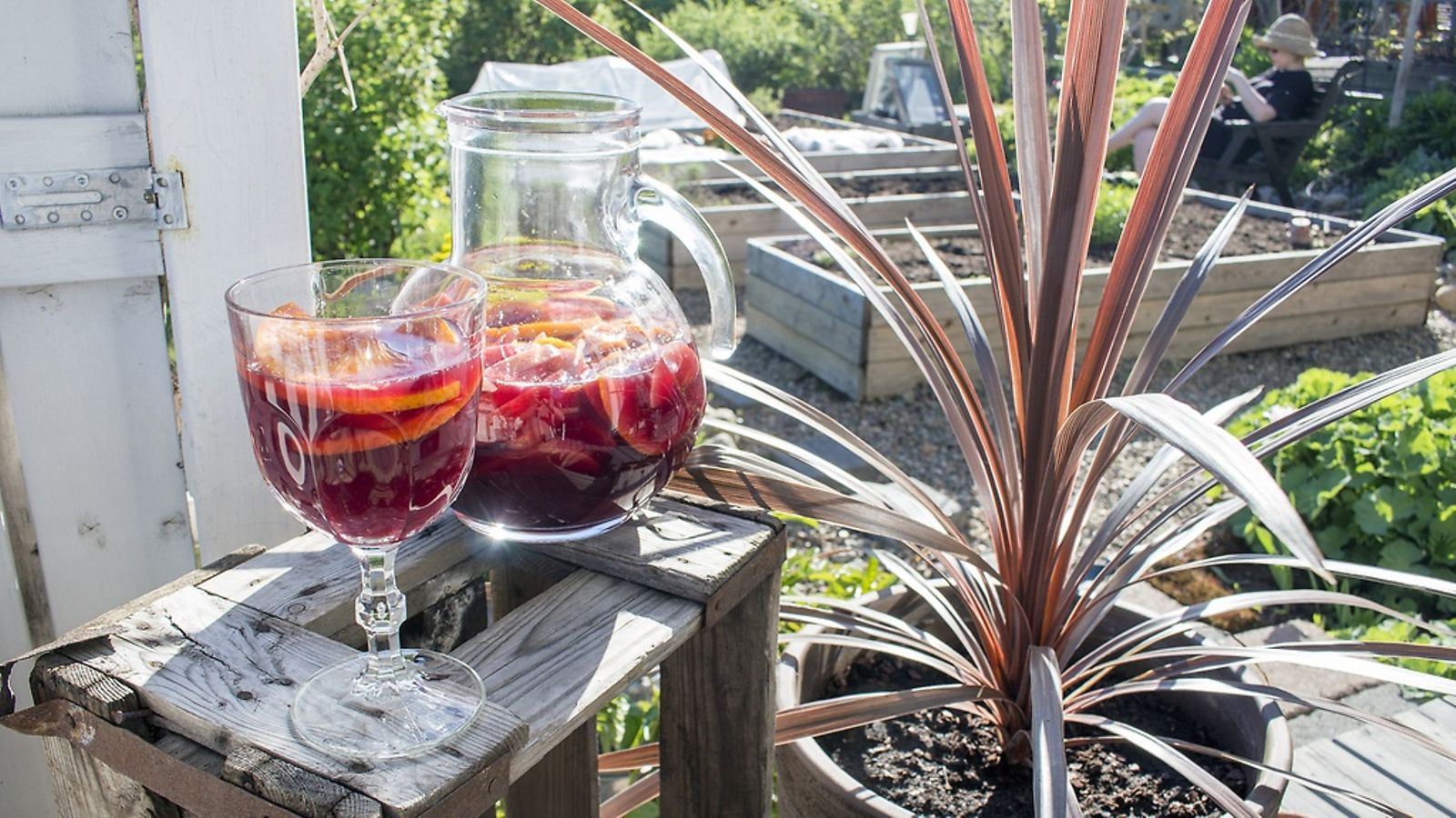sangriaSIVUMAKU