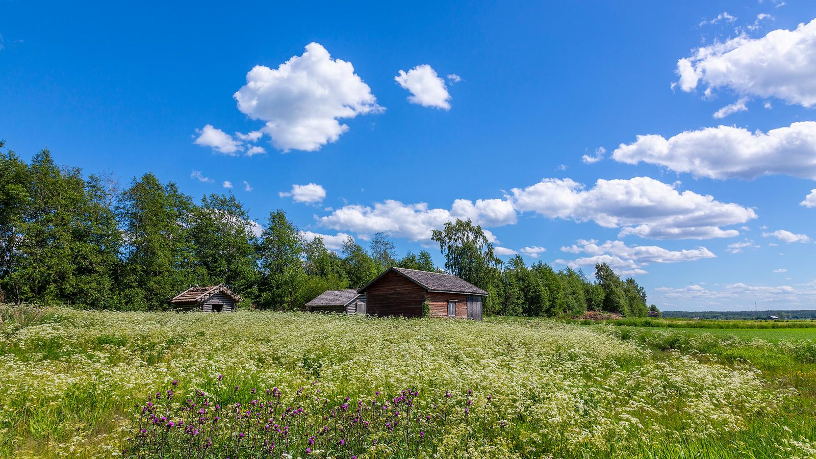 suomi kesä