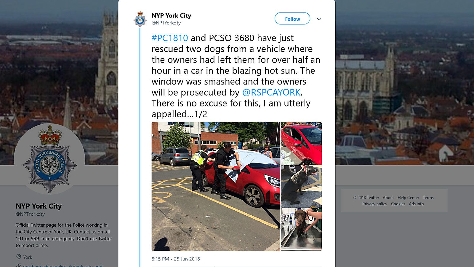 york police dogs in hot car