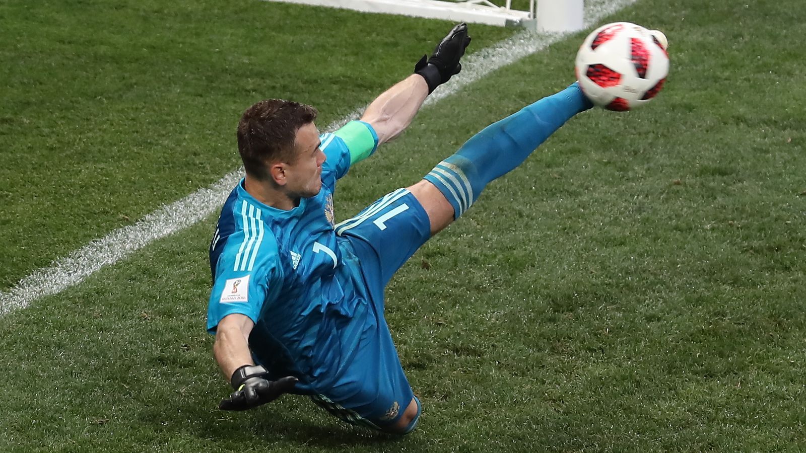 Igor Akinfeev