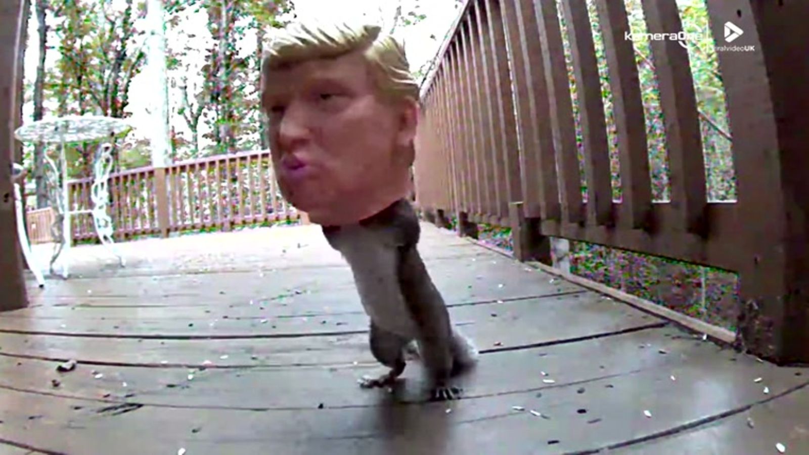 Trump-orava