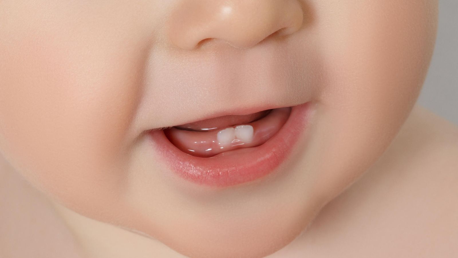 shutterstock_238951615