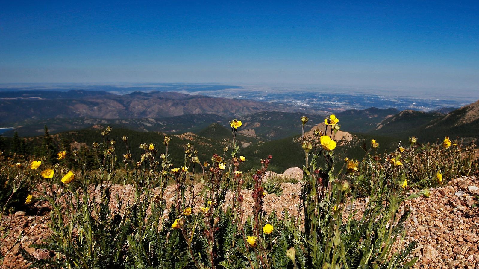 colorado