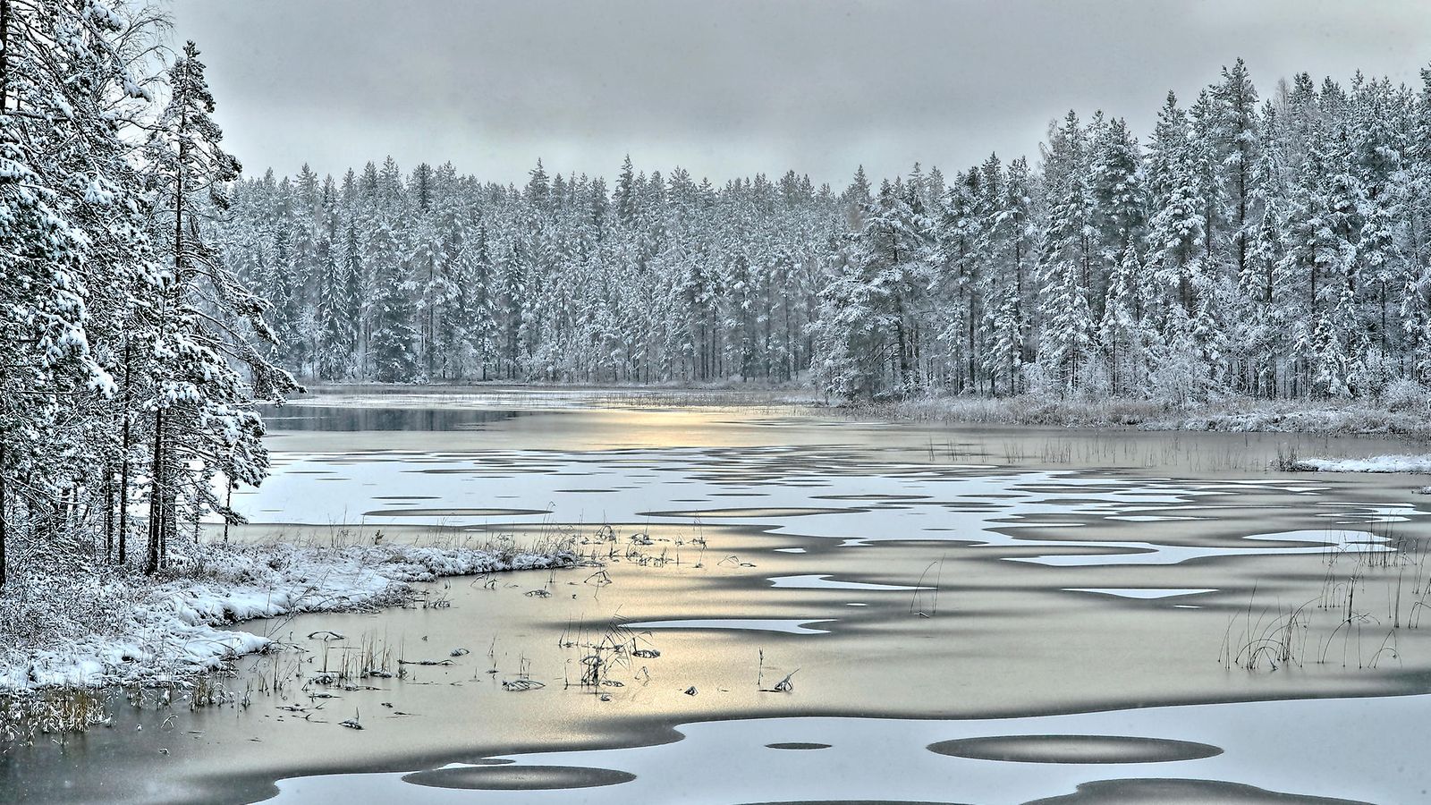 Ensilumi Joensuu 2016 AOP