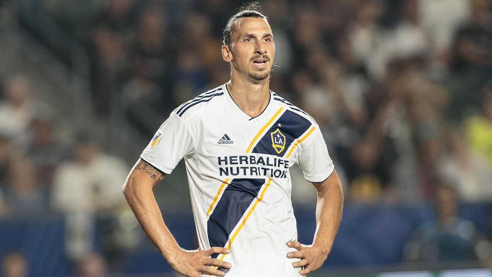 Zlatan