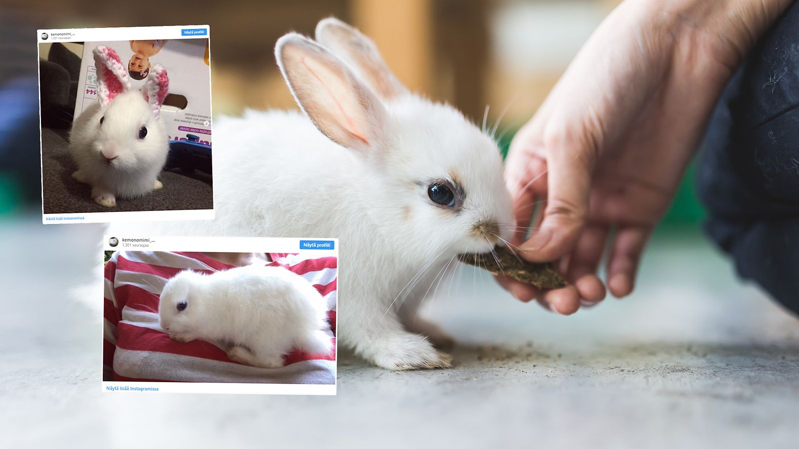 instagram_mimi-pupu