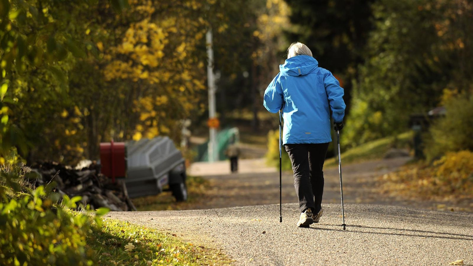 Sauvakävely liikunta ikäihminen