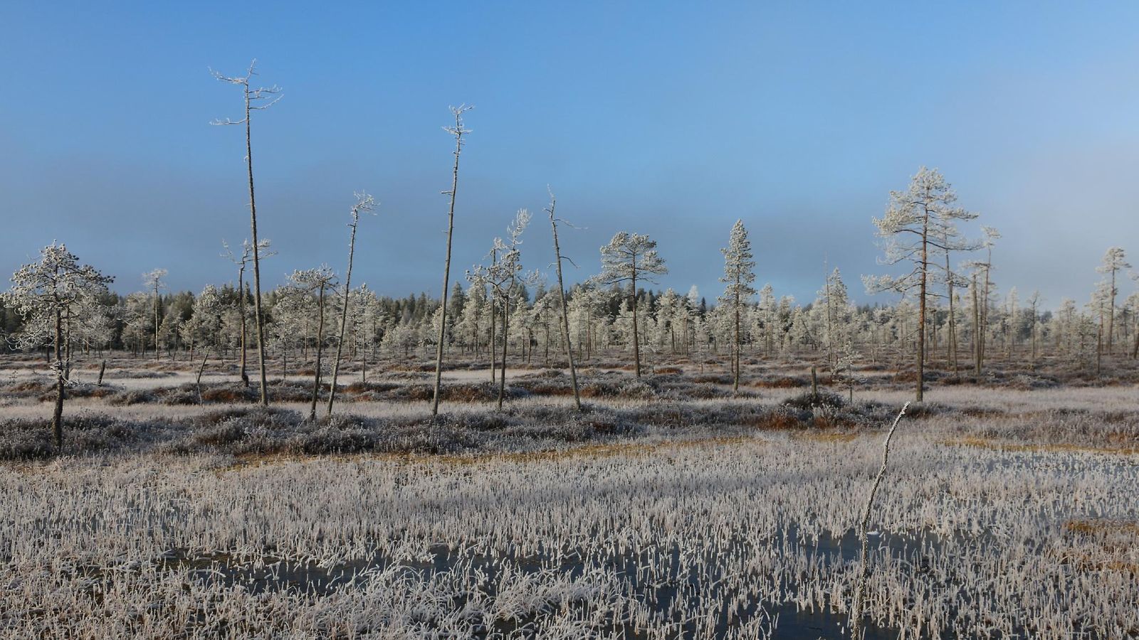 Lappi pientä pakkasta