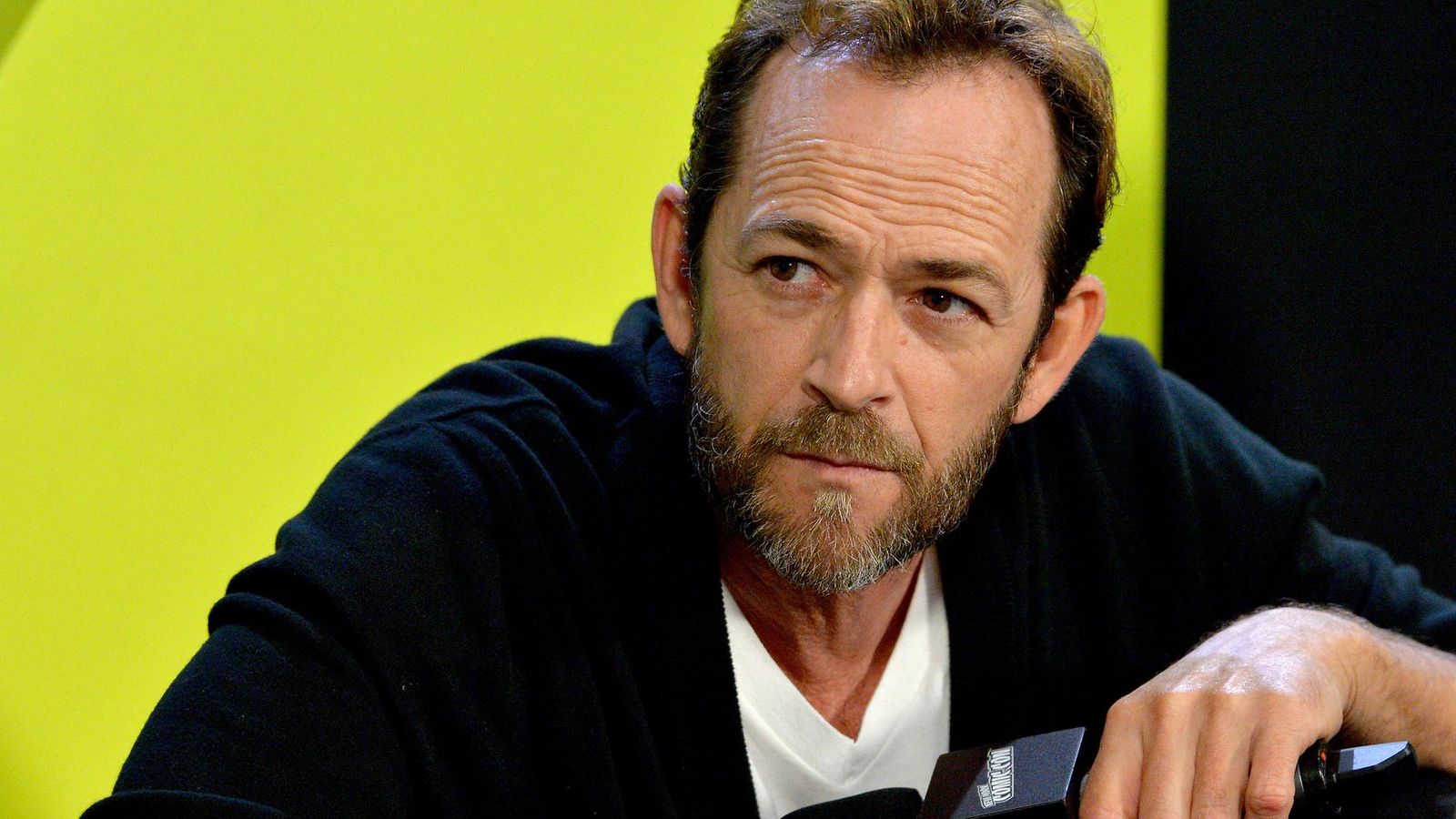 Luke Perry