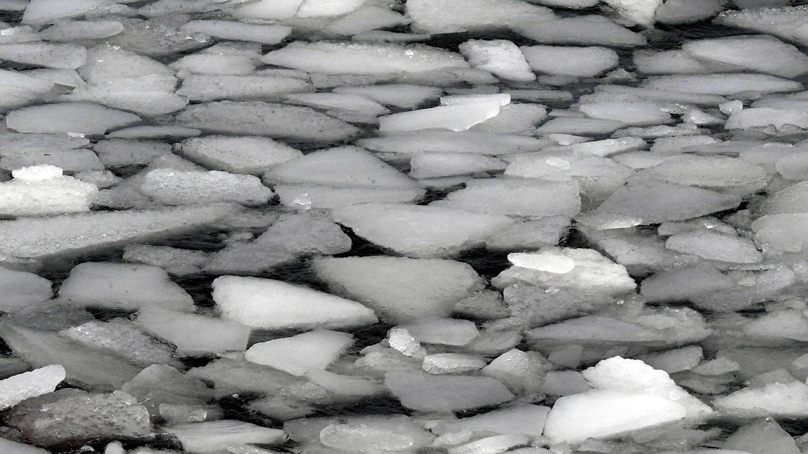 Jäät lauttasaari LK