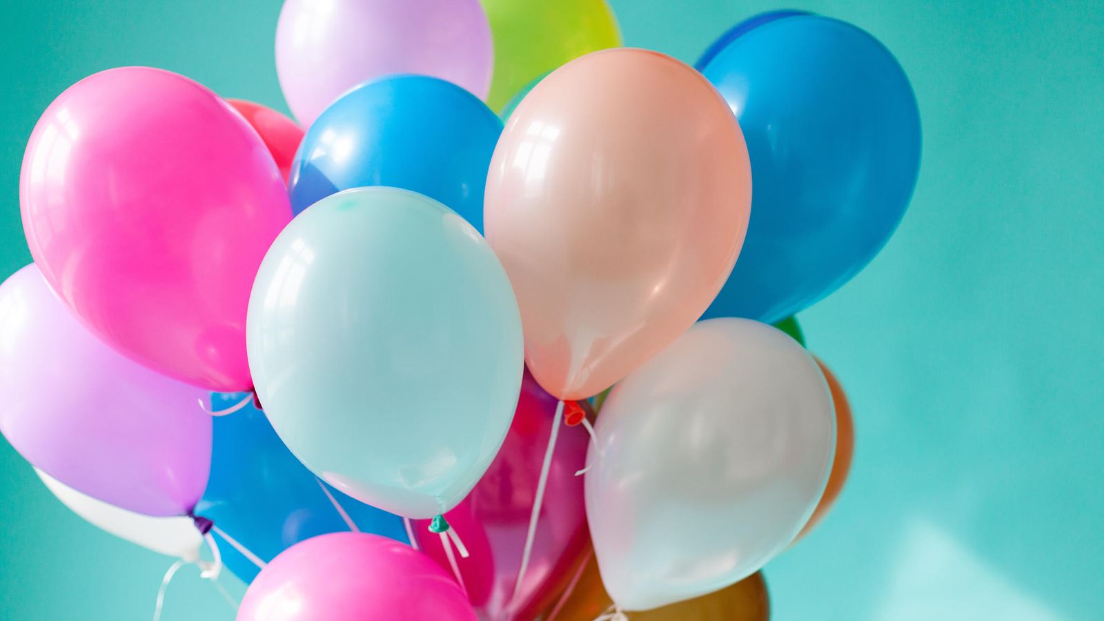 shutterstock_567855076