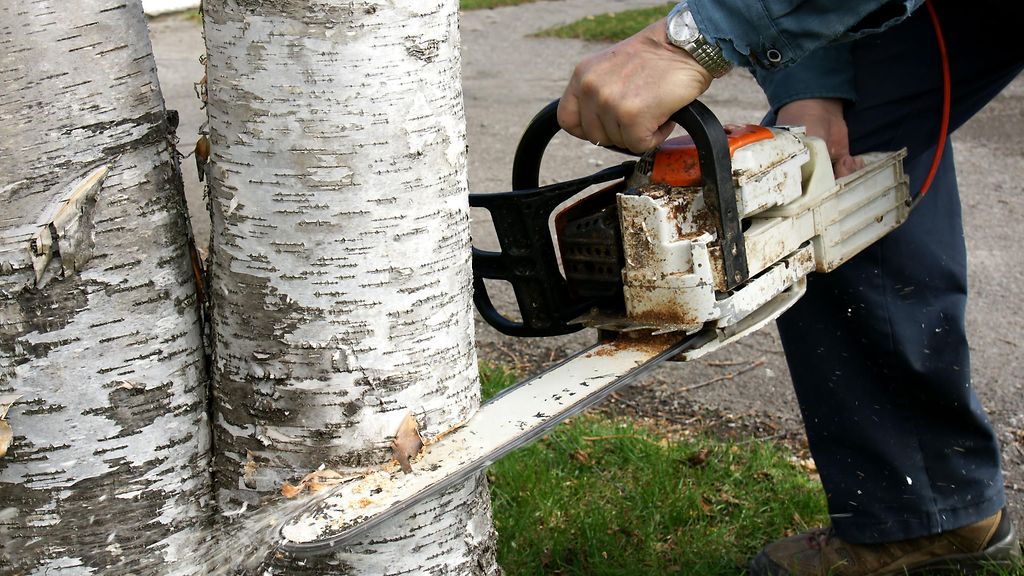 Ikkuna rikki ja moottorisahat kainaloon – kehnosti kävi