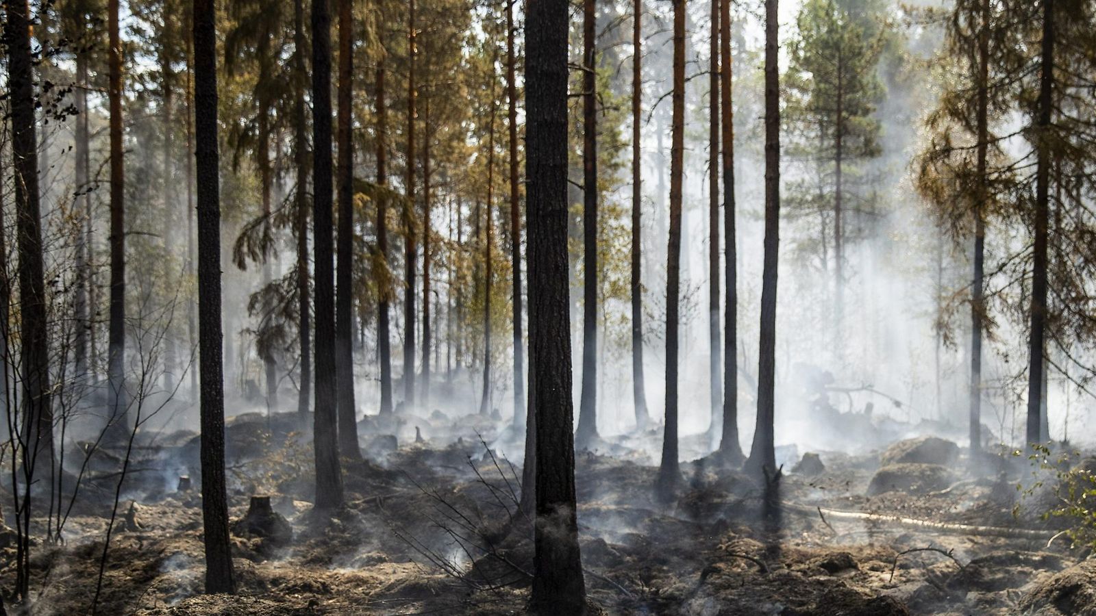 Pyhärannan metsäpalo LK