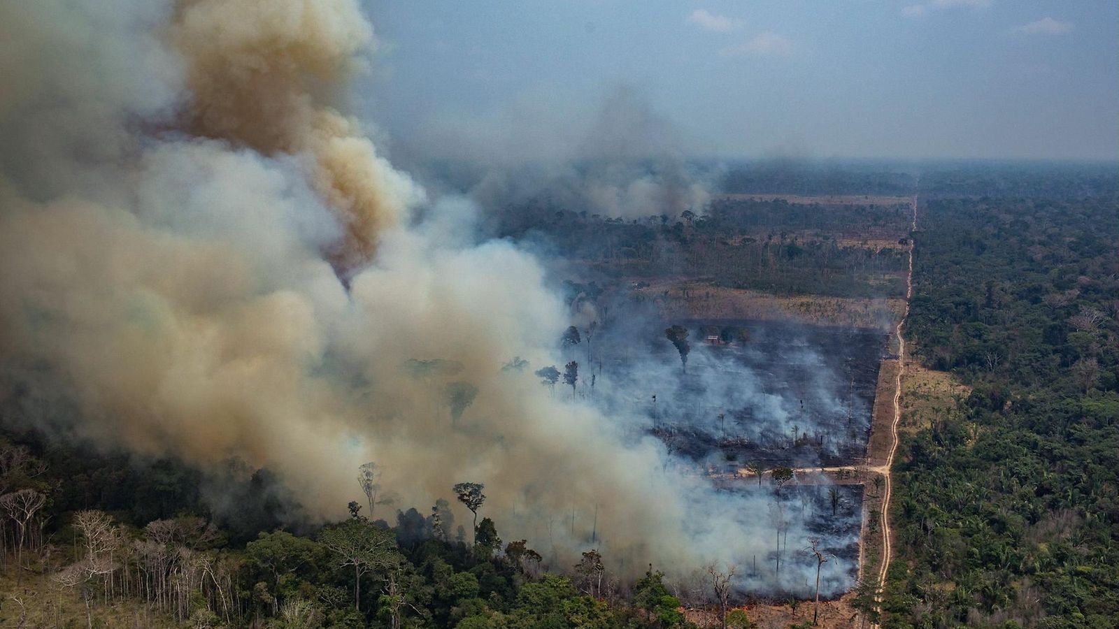 LK, Brasilia, metsäpalot, Amazon