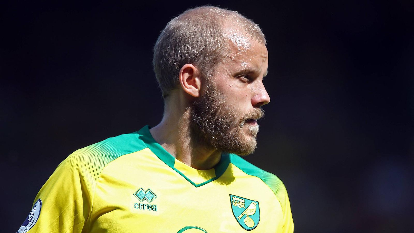 Teemu Pukki (2)