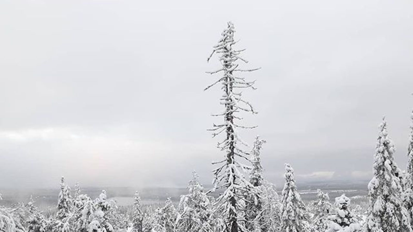 MTV sää instagramista Ulla Mursulan kuva Ruka-tunturilta