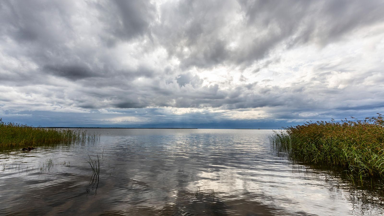 kuvituskuva vesi hukkuminen