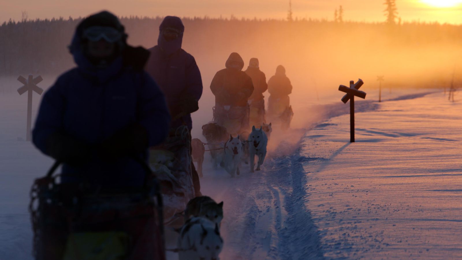 AOP, lappi, suomi, husky, talvi