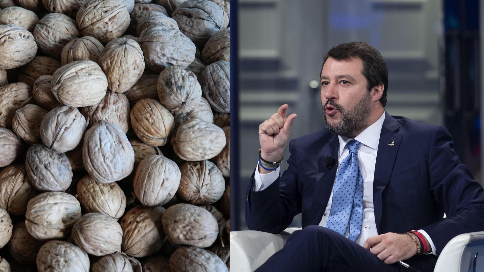 salvini hasselpähkinä