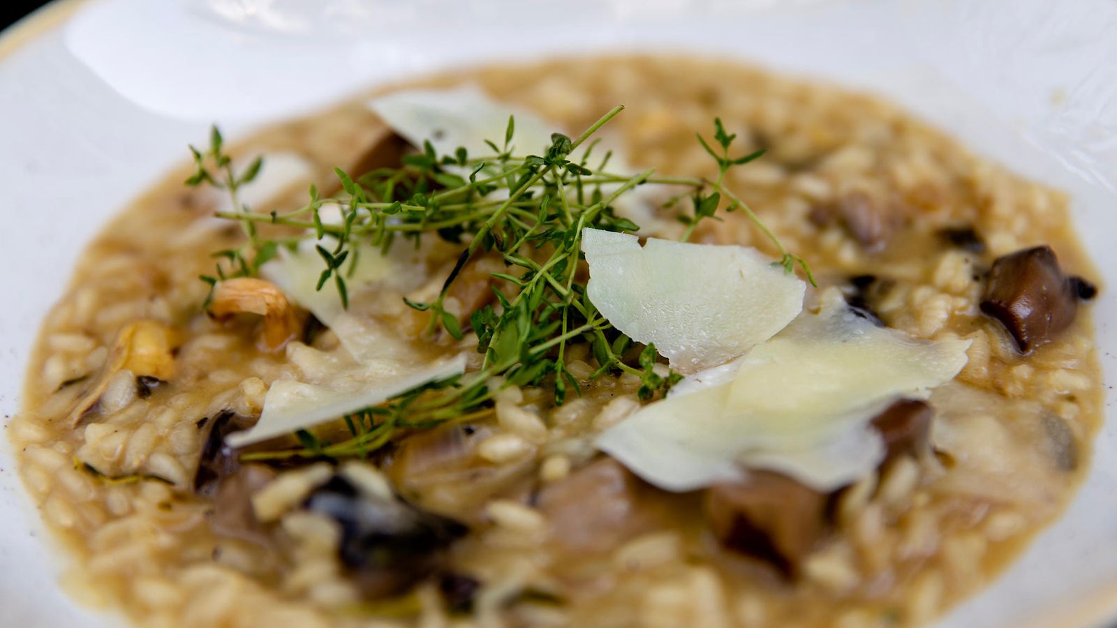 risotto öljy