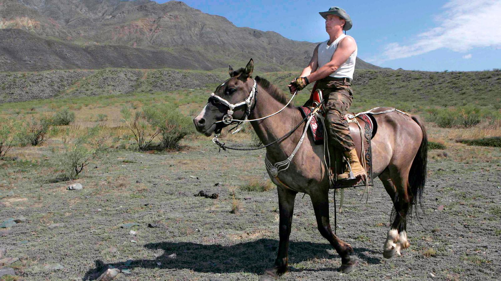 AOP Vladimir Putin hevonen