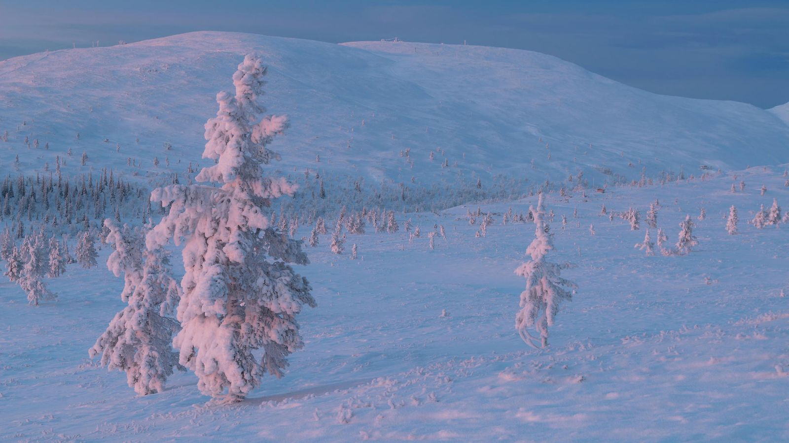 Pakkasmaisema Pallas-Yllästunturilta Lapista.