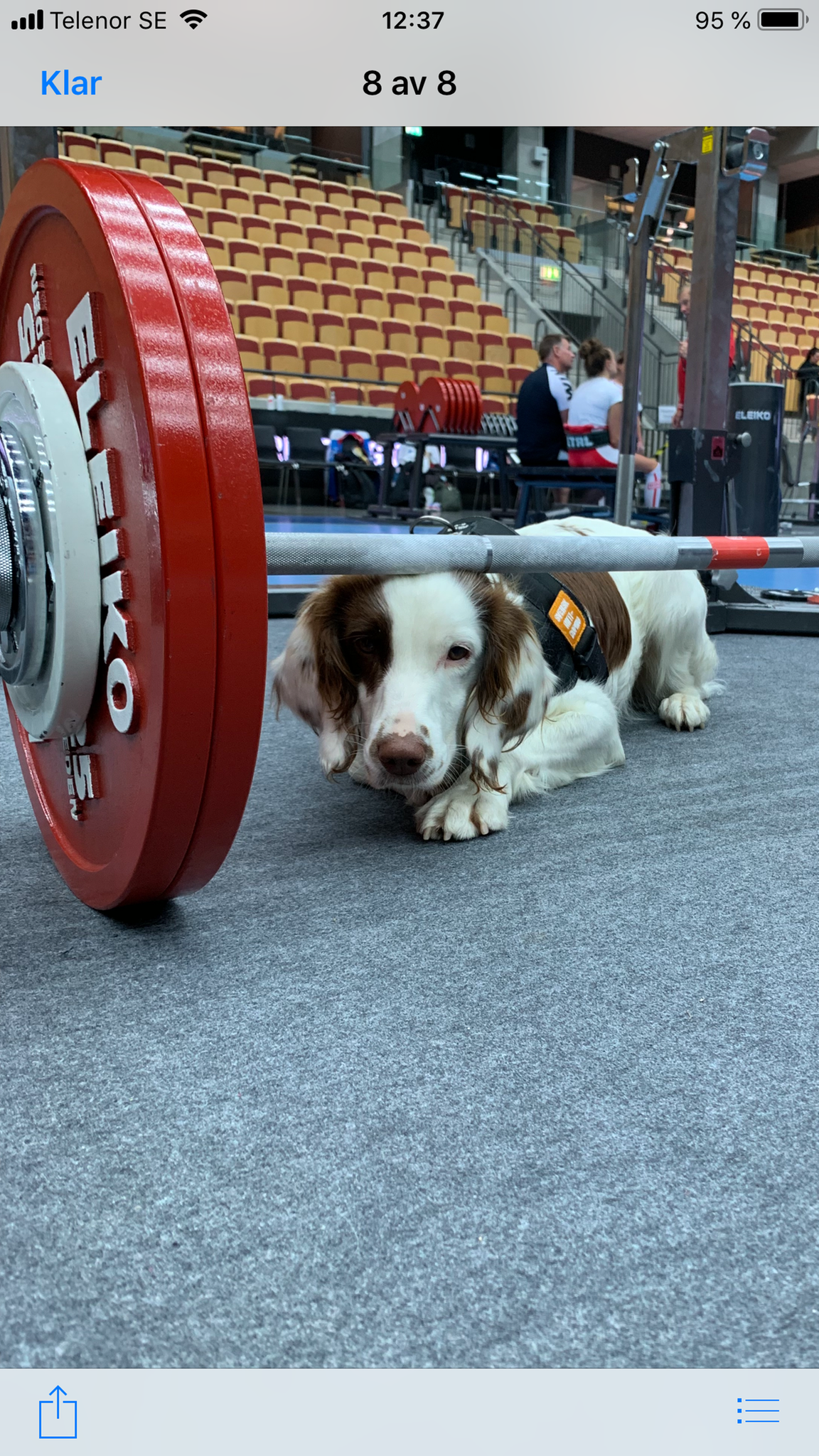 Doping varjostaa mm-urheilua – MTV kertoo uusimmat tuulet valvonnan huipulta