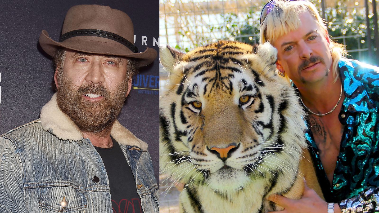 tiger king nicolas cage