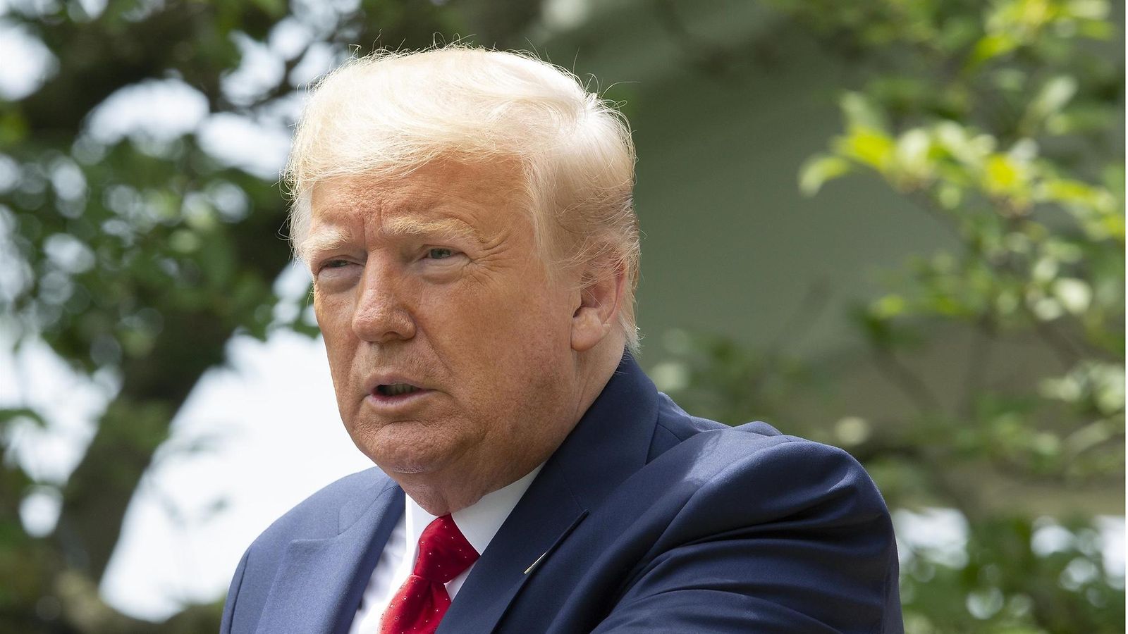 AOP, Trump
