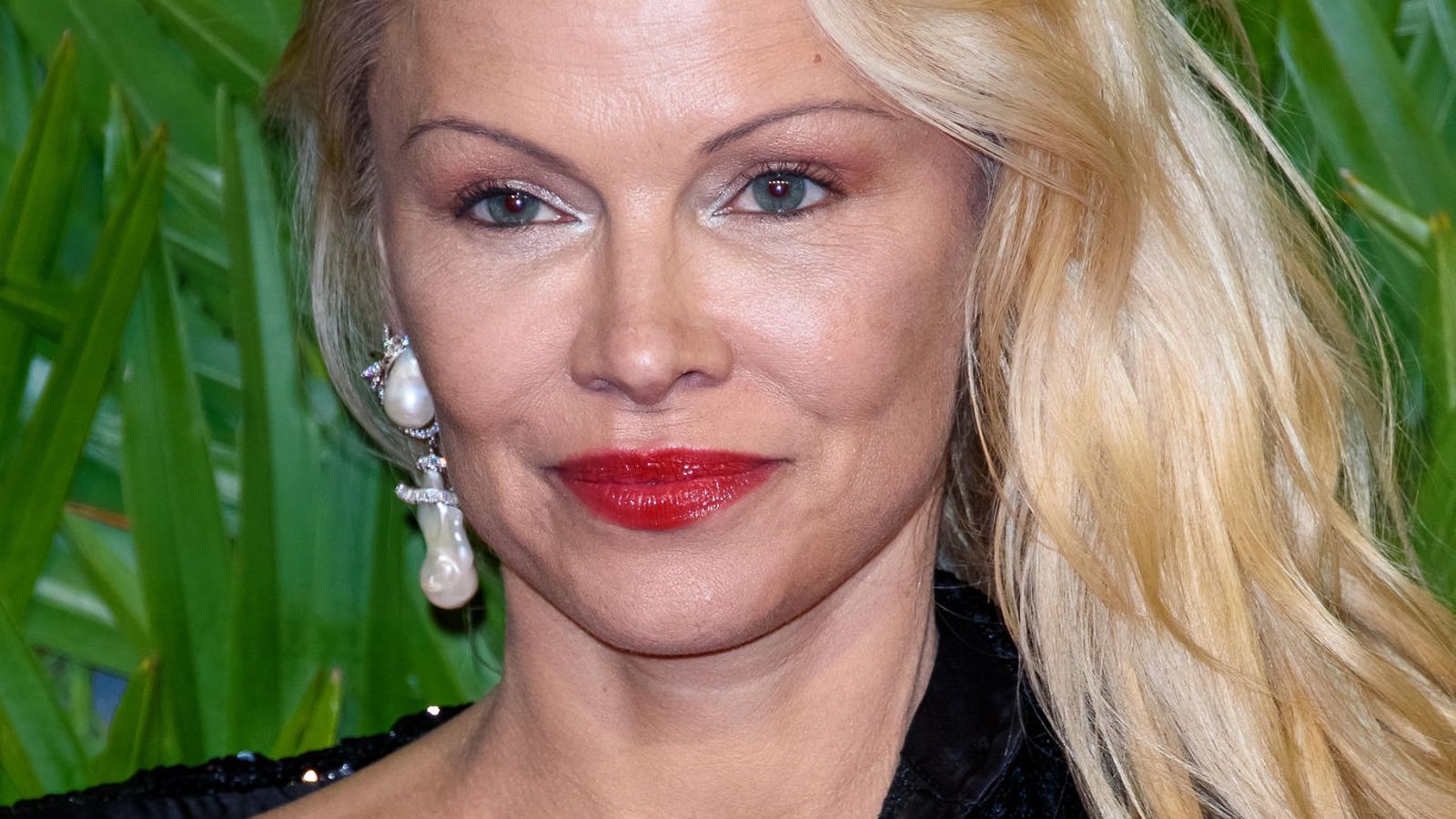 Pamela Anderson 2017