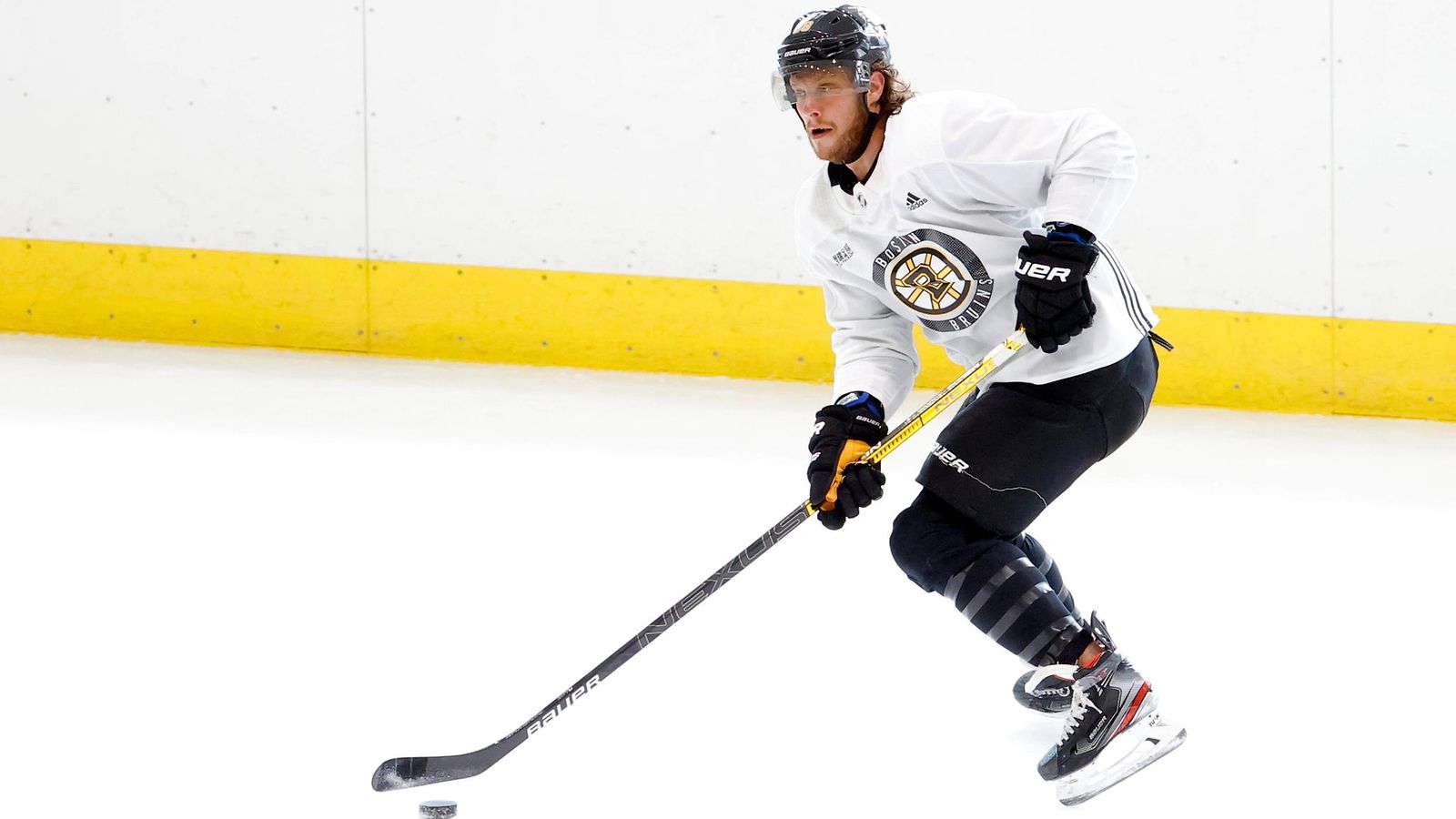 David Pastrnak