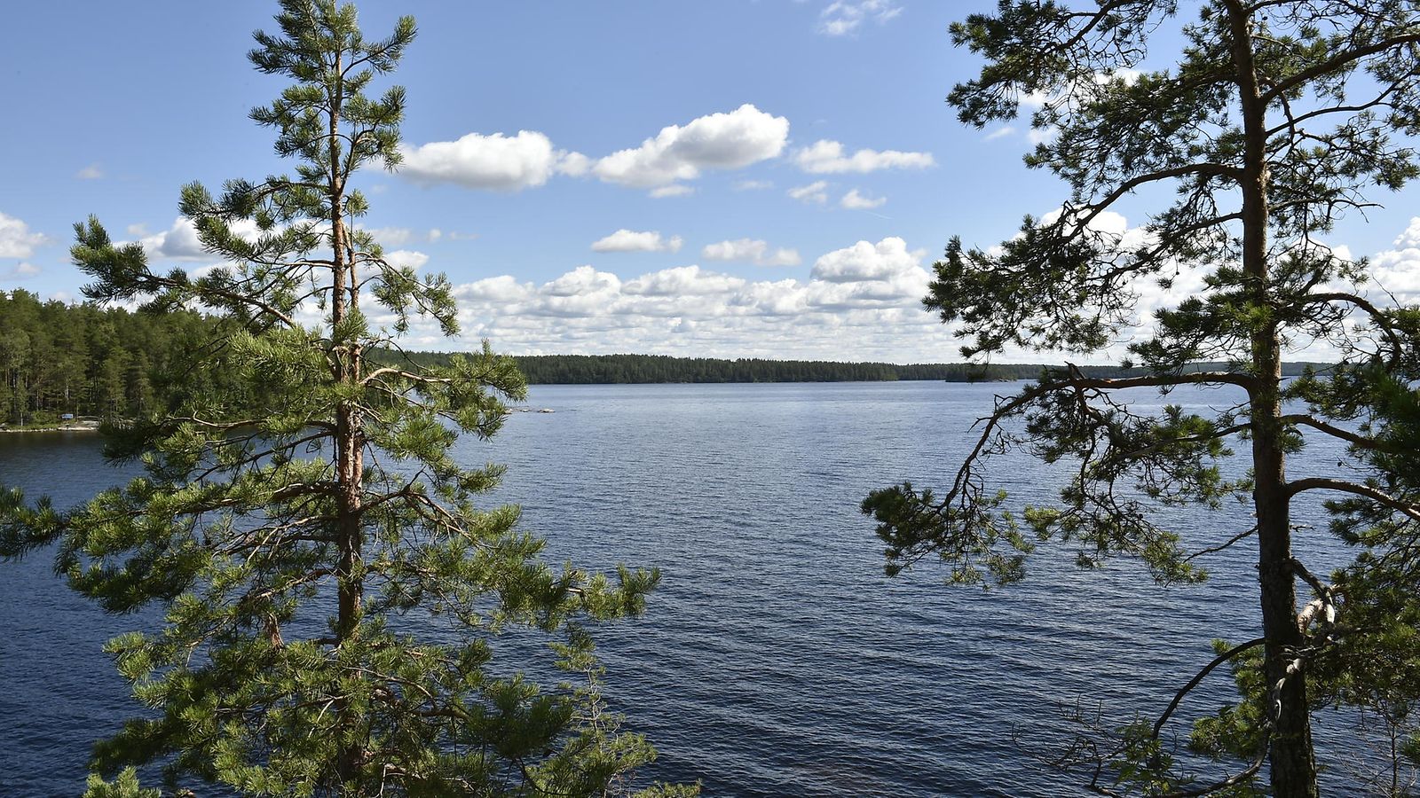 Järvi, kesä, sää AOP