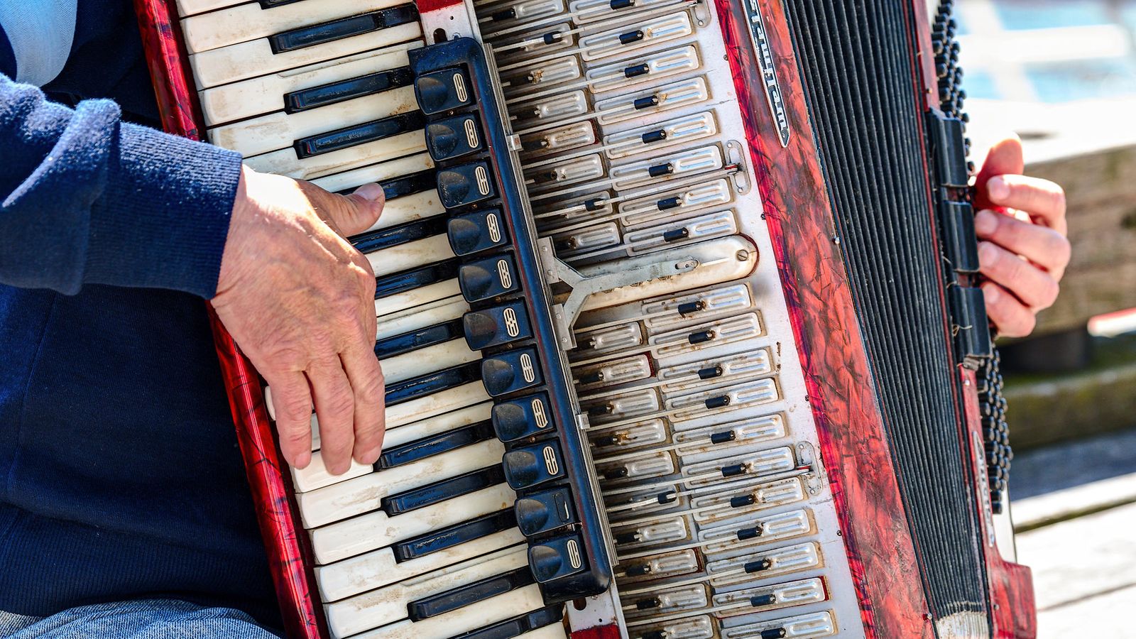 shutterstock harmonikka