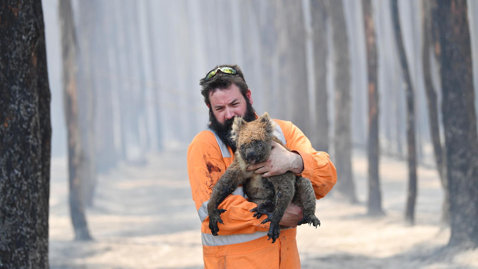 EPA Australia metsäpalo 2