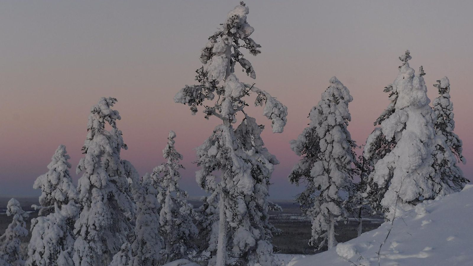 joulukuu pakkanen lappi lehtikuva